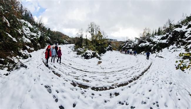KOCAELİ KENT ORMANI - UMUTTEPE DOĞA YÜRÜYÜŞÜ